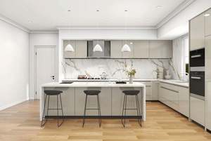 Design <b>Kitchen</b> Cabinets RTA High End <b>Kitchen</b> Cabinet and <b>Furniture</b> Light Luxury Made in China for Household - Product Image 5