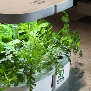 Full spettrum Indoor ha condotto la luce idroponica intelligente vasi <span class=keywords><strong>da</strong></span> <span class=keywords><strong>fiori</strong></span> <span class=keywords><strong>da</strong></span> <span class=keywords><strong>giardino</strong></span> Smart fioriere <span class=keywords><strong>per</strong></span> la coltivazione di <span class=keywords><strong>semi</strong></span> di piante - Product Image 2