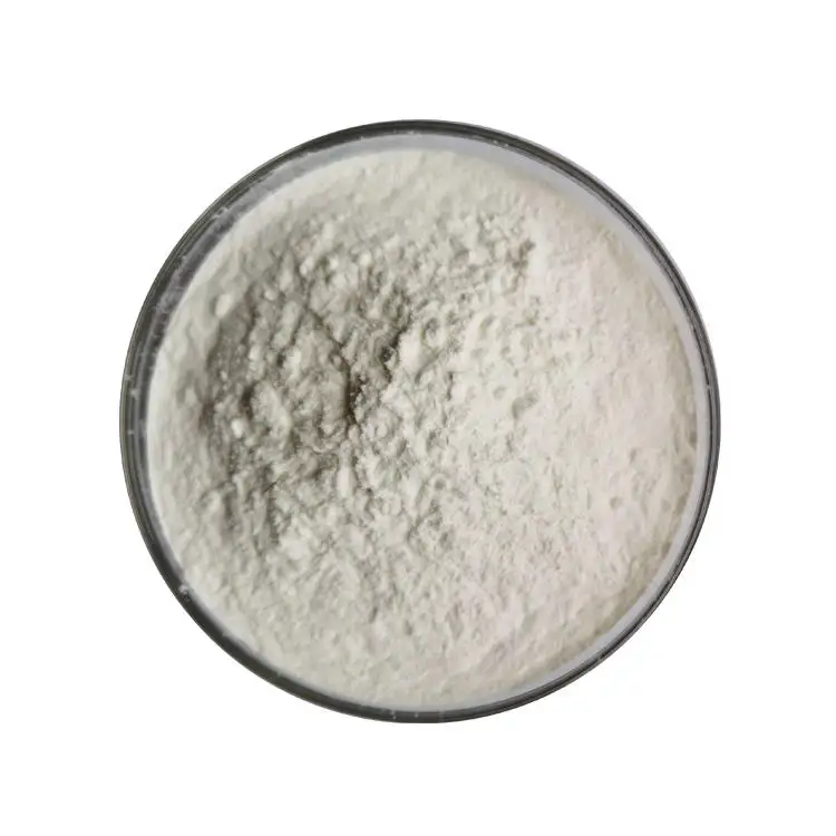 Herbal Extract Supplement Garcinia Cambogia Extract Powder Hydroxycitric Acid HCA 60%