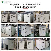 Ketel Uap Industri Otomatis Berbahan Bakar Gas 500kg/jam untuk Distilasi Alkohol Generator Uap Gas Alam Harga Pabrik
