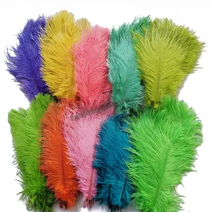 Venta al por mayor Venta caliente 40-45cm Avestruz Drabs Pluma Decoración plumas de avestruz para disfraces de Carnaval