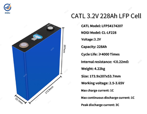 Sel Baterai CATL 228Ah 3.2V LiFePO4 Grade A, Pengosongan 3C, 4000+ Siklus Hidup untuk Paket Baterai DIY 12V 24V 48V, RV, EV, Mobil Golf - Product Image 2