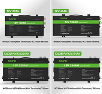 Batterie au lithium LFP ultra-mince OEM d'usine 12,8 V 12 V 314 Ah 300 Ah pour camping-car Toyota Land Cruiser Nissan Patrol tout-terrain