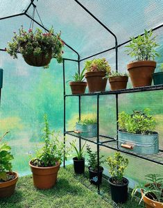 3 Tiers <strong>Greenhouse</strong> for Outdoors With Screen Windows, <strong>Walk</strong> <strong>in</strong> Plant <strong>Greenhouses</strong> Heavy Duty With Durable PE Cover - Product Image 6