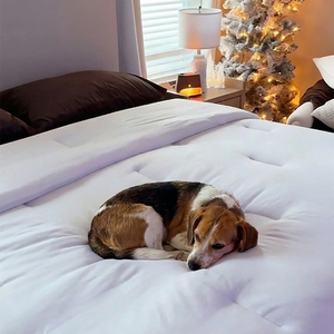 Edredón Suave al Tacto como una Nube - Ropa de Cama Tejida Refrescante - Edredón con Relleno Alternativo a Plumón - Fábrica con Certificación Oeko-Tex - Product Image 6