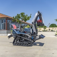 Motoculteur à chenilles diesel Euro 5 pour verger avec moteur à engrenages et roulement de pompe