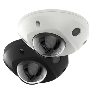 DS-2CD2543G2-IS 4mp Ir Mini Dome Acusense Netwerk Lift Camera