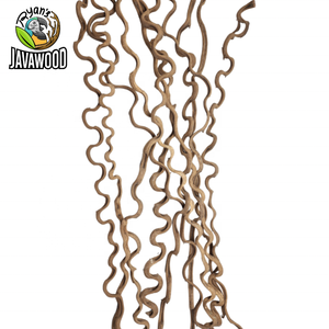 ชวากลางของอินโดนีเซีย,ไม้เถา Kasela ไม้เถาป่าเถาวัลย์เถาวัลย์ Liana รากไม้เถาวัลย์เถาวัลย์เถาวัลย์ลิมา - Product Image 5