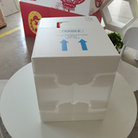Caisse en carton ondulé MFPP légère, écologique et recyclable pour la chaîne du froid, idéale pour le stockage des fruits et légumes