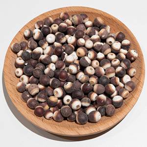 Sementes de Fruta Gorgon de Alta Qualidade Fornecimento em Lote Comestível Euryale Ferox para o Mercado Global - Product Image 3