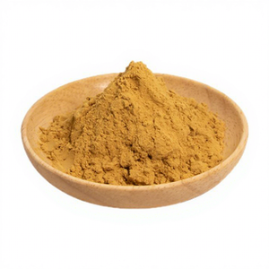 Huperzina A en Polvo al 1%, Extracto de <span class=keywords><strong>Huperzia</strong></span> <span class=keywords><strong>Serrata</strong></span>, Materia Prima Nootrópica Natural para Apoyo a la Salud Cognitiva - Product Image 1