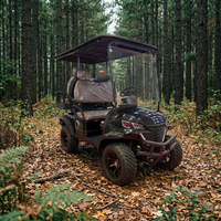 Chariot de golf électrique Club Car le plus vendu, chariot de golf cargo, buggy de golf, véhicule électrique à nouvelle énergie, buggy de golf