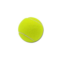 Lanceur de balle de tennis élastique pour animaux de compagnie Balle de chien résistante aux morsures de 5cm pour l'entraînement et le jeu Balle de tennis Machine à lancer