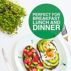 Hữu cơ không biến đổi gen microgreens 6-Pack Kit bao gồm cỏ linh lăng củ cải hướng dương cho trồng trong nhà mọc món ăn tấm - Product Image 3