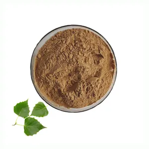 Poudre d'extrait de Betula Alba en vrac d'approvisionnement extrait de feuilles de bouleau 10:1 de haute qualité