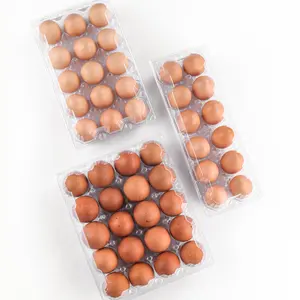 Cartones de huevos de plástico transparentes personalizados, 15 cartones de huevos de plástico PET, blíster transparente desechable, bandejas de embalaje para huevos