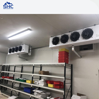 Chambre froide de plain-pied pour ferme, congélateur rapide, conteneur pour tomates, pommes de terre, fruits et légumes, écologique, automatique, télécommandé, -10~-25°C