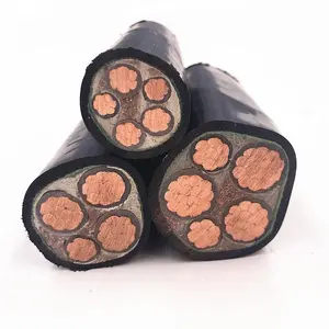 Wholesale yjv/NYY/NYCY-2 core cable xlpe yjv cable flame-retardant low-voltage copper core cable
