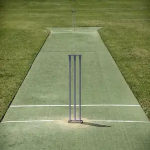 Commercio all'ingrosso campo sportivo all'aperto prato cricket tappeto erboso erba artificiale tappeto erboso pavimentazione sportiva tappetini da cricket