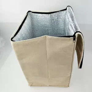 Tote Insulation Portable Picnic Cooler Picnic Lunch Tote Bag China Manufacturer Lunch Insulated canvas cooler bag
