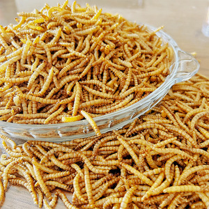 Fabriqué en Chine, qualité supérieure, vers de farine séchés naturels purs, nourriture pour animaux de compagnie, insectes pour oiseaux sauvages et poulets - Product Image 1