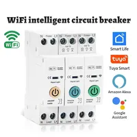 Disjoncteur intelligent Wi-Fi Tuya 1P 63A avec compteur Kwh, relais temporisé (MCB), protection contre les surtensions/surintensités, compatible Alexa Google Home