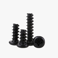 Vis autotaraudeuse à tête plate en acier inoxydable 304 nickelé, finition noire, classe 8.8, à empreinte Phillips, pour plastique
