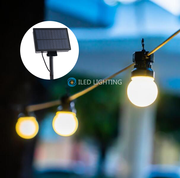 Coquille blanche laiteuse (solaire)