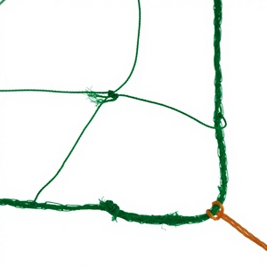 Filet de soutien pour plantes NET HOME en HDPE PP UV de haute qualité, 2m x 60m, couleur personnalisable, mailles de <span class=keywords><strong>treillis</strong></span> <span class=keywords><strong>d</strong></span>écoupées, tailles de mailles 20-40cm - Product Image 5