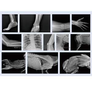 جهاز أشعة سينية محمول K-DX70/85 VET للبيع الساخن، معدات أشعة سينية رقمية بسعر مناسب للمستشفيات - Product Image 5