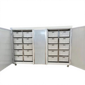 Caja Inteligente Multicapa para Germinación de <span class=keywords><strong>Brotes</strong></span> de Frijol, Máquina Automática de <span class=keywords><strong>Brotes</strong></span> de Frijol con un Solo Botón, Certificación CE para Restaurantes - Product Image 2