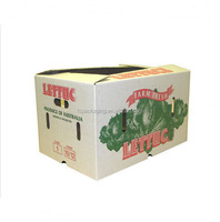 Op maat gemaakte gegolfde stevige fruitdozen, geventileerd, waterbestendig, matte laminatie, exportverzenddozen