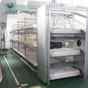 Full Automatic H Type Poultry Broiler Cage System With Automatic Feeding And Drinking