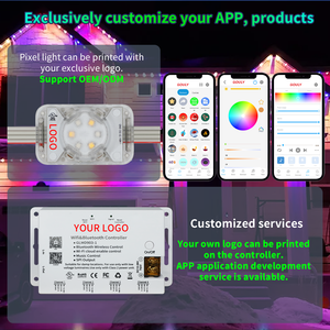 Điều khiển thông minh vĩnh viễn dẫn kỳ nghỉ Đèn Ngoài Trời IP68 không thấm nước 1.02W 4 dây 48V RGBW <span class=keywords><strong>LED</strong></span> Pixel - Product Image 2