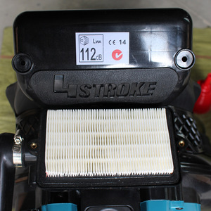 Souffleur à essence 4 temps 112 dB, usage professionnel pour le jardin - Product Image 1