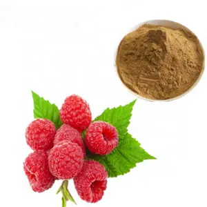 factory supply 100% Natural Raspberry Fruit Extract Raspberry Ketone 5% powder