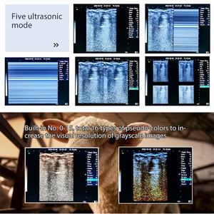 Sonde rectale vétérinaire <span class=keywords><strong>Echo</strong></span> de haute qualité pour le diagnostic par échographie canine, vente d'échographes bovins, <span class=keywords><strong>prix</strong></span> raisonnable, échographie caprine - Product Image 3