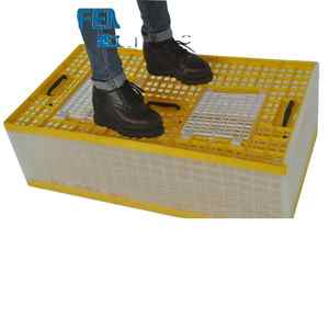 Draagbare opvouwbare <span class=keywords><strong>plastic</strong></span> milieuvriendelijke duivenvervoerkooi, vogelbenodigdheden voor buitenrennen, nesten en volière, gemaakt in China Tim - Product Image 4