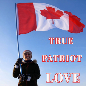 Флаги Канады на заказ 3x5 футов флаг Канады яркий красный белый цвет двойной прошитый канадский национальный флаг печать логотипа - Product Image 6