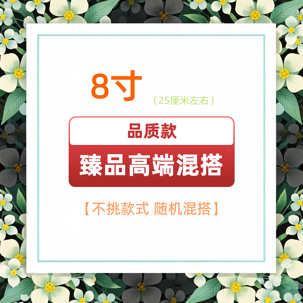 Modello di qualità, stile casuale