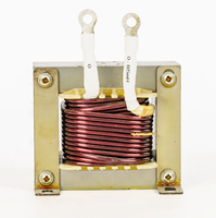 Réacteur monophasé à type sec AC entrée et sortie 0,5mh 0,8mh 40A 80A pour condensateur en PFC