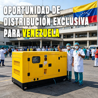 Groupe électrogène diesel silencieux portable triphasé Weichai Ricardo 30 kVA 30 kW 40 kW 40 kVA 40 kW de marque américaine pour le Venezuela