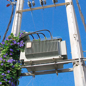 มอเตอร์ไฟฟ้า mV & HV สำหรับซัพพลายเออร์6kV 10KV แบบจุ่มน้ำมันสามเฟส S13 800KVA 500KVA สูง/20/22 - Product Image 6