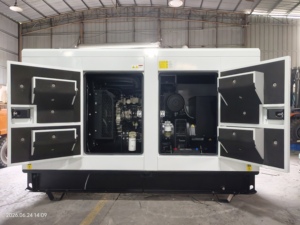 Generador diésel silencioso <span class=keywords><strong>de</strong></span> reserva <span class=keywords><strong>de</strong></span> emergencia Perkins <span class=keywords><strong>de</strong></span> 110 kVA, 88 kW, 125 kVA, 150 kVA, 200 kVA para suministro <span class=keywords><strong>de</strong></span> energía <span class=keywords><strong>de</strong></span> respaldo en fábricas - Product Image 6