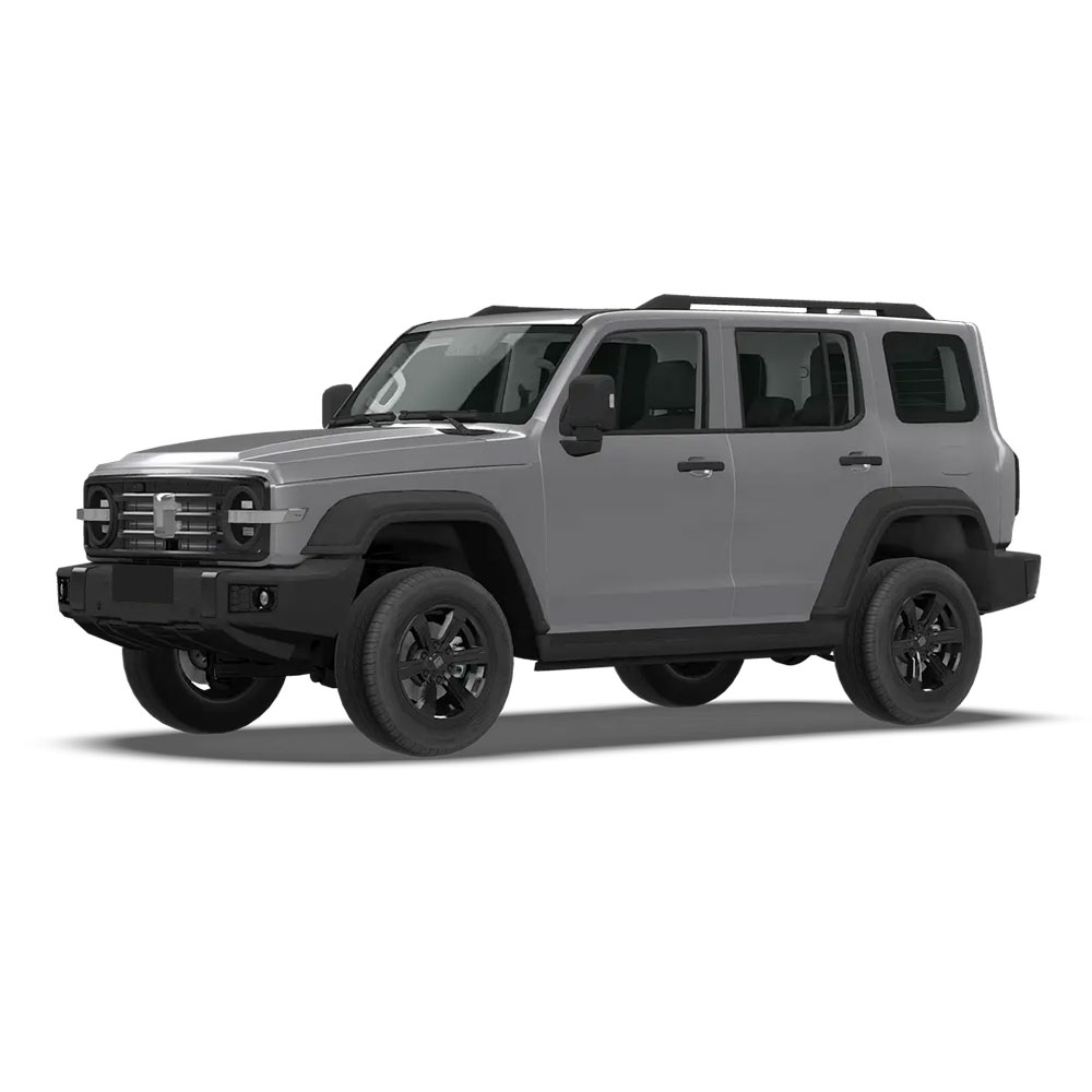 В наличии, бензиновый гибридный автомобиль 4wd, дешевый автомобиль, горячая Распродажа, бак Gwm 300 2025 3,0 Т, компактные внедорожники