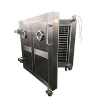 Équipement de lyophilisation sous vide industriel commercial pour fruits, fraises, bonbons, lait - Matériel SUS304 Modèle QS-FD-100 380V/220V