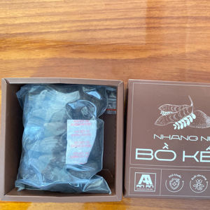 Conos de Incienso Naturales de Soapberry, Hechos a Mano, Aromaterapia Herbal, Ecológicos, Orgánicos, de Larga Duración, Fragancia para Yoga - Product Image 1