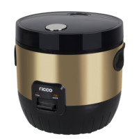 Autocuiseur de riz automatique Ricco Deluxe 1,8 litre 700W avec poignée intégrée, nouveau design, boîtier en plastique, inclut une tasse doseuse