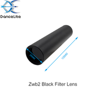 Mini lampe torche LED UV S12 puissante 365nm rechargeable USB-C avec gravure de logo OEM, lampe de polymérisation UV portable avec filtre noir