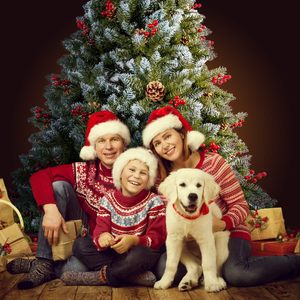 <span class=keywords><strong>Albero</strong></span> di Natale Personalizzato di Alta Qualità con Bacche Rosse e Pigne, <span class=keywords><strong>Tipo</strong></span> Autoportante con Base Bianca Effetto Neve - Product Image 4